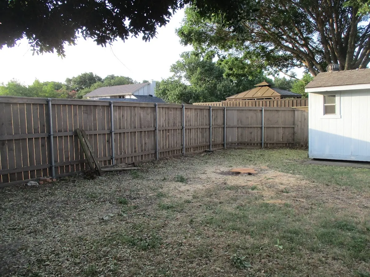 Cleared yard after professional tree removal in Pomeroy