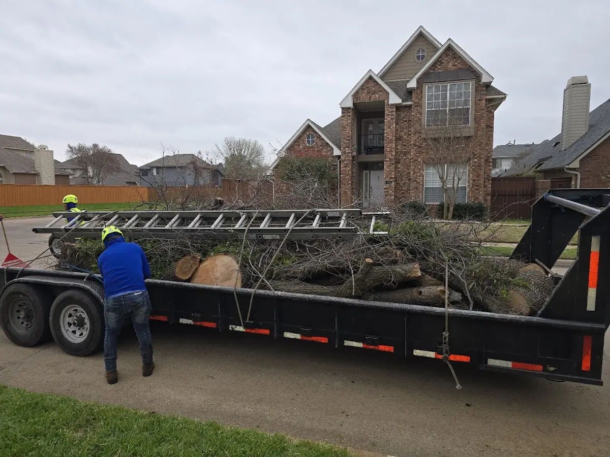 Expert Tree Fertilization with proper safety equipment in Pomeroy
